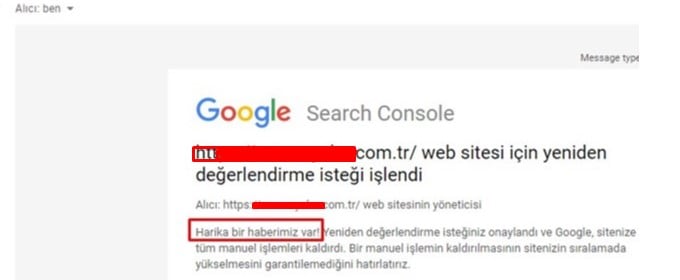 Manüel Spam Cezası Kaldırma
