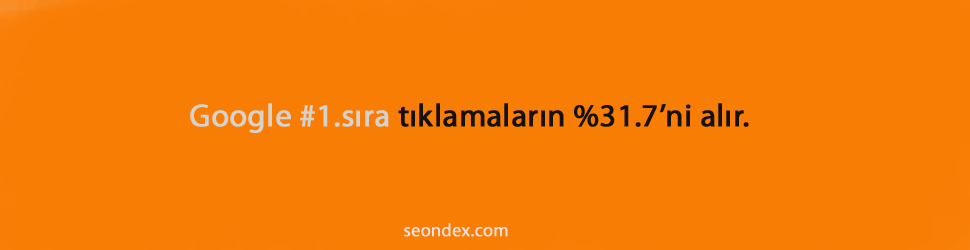 SEO İstatistikleri