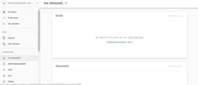 Google Search Console Sayfa Hızı